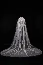 Veil 029-1.webp