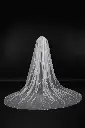 Veil 019-1.webp