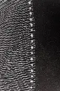 Veil 019-3.webp