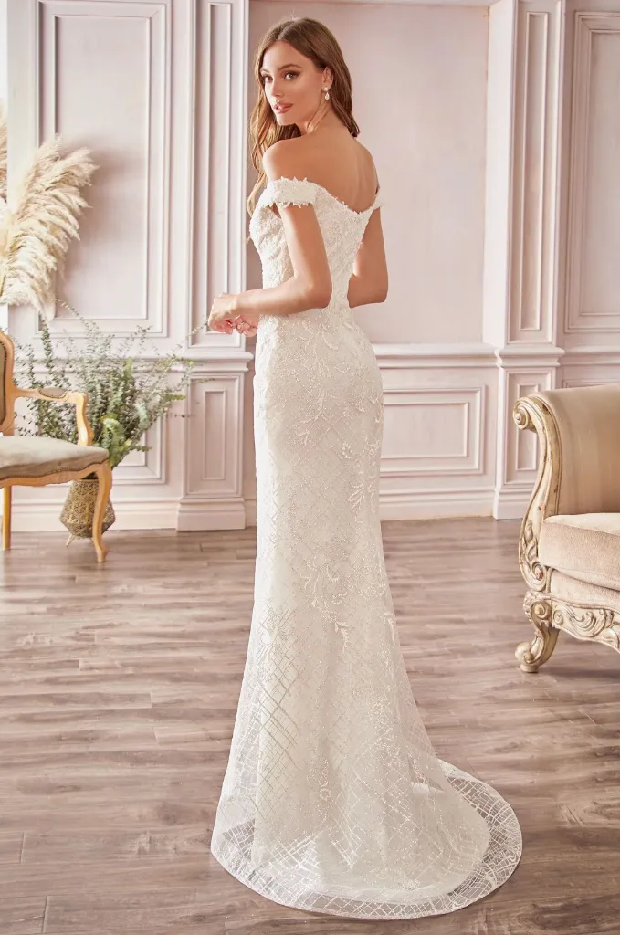 OFF THE SHOULDER blanca Bridal Tampa Bay Dresses MOB Plus size 20.webp