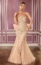 Gorgeous Champagne Dress Evening Blanca Bridal Tampa Bay 4.webp