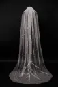 Veil with Pearls