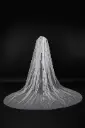 Cathedral Veil