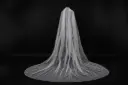 Veil
